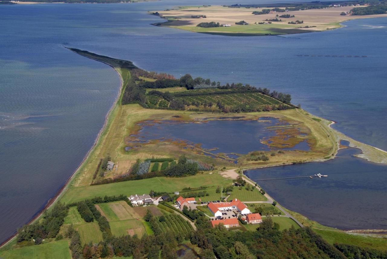 Borre Knob Fjordhotel Juelsminde (Hedensted)